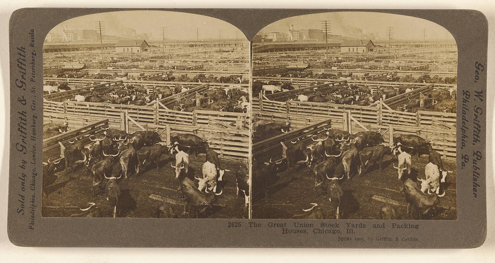 The Great Union Stock Yards and Packing Houses, Chicago, Ill. by George W Griffith
