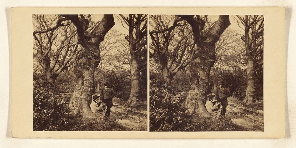 The Gnarled Oak by William Grundy