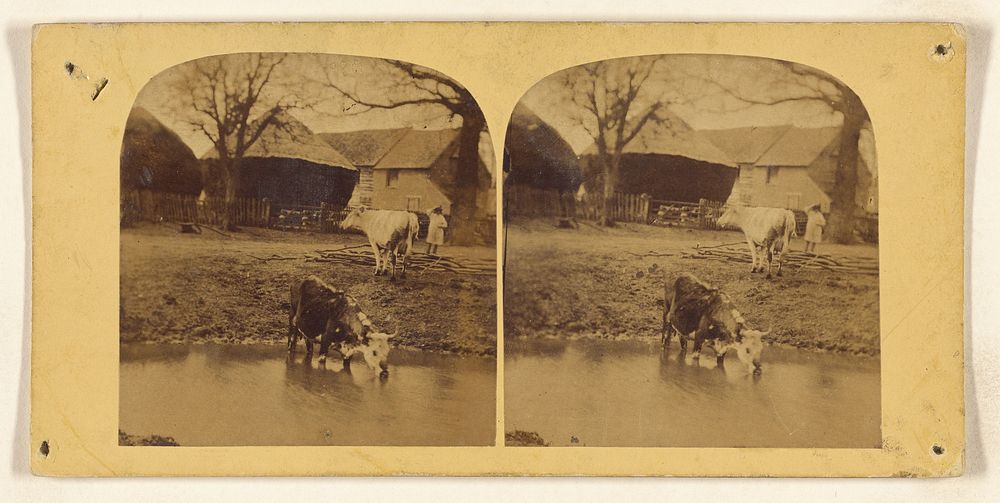 Bull drinking from pond, cow and little girl in barnyard by William Grundy