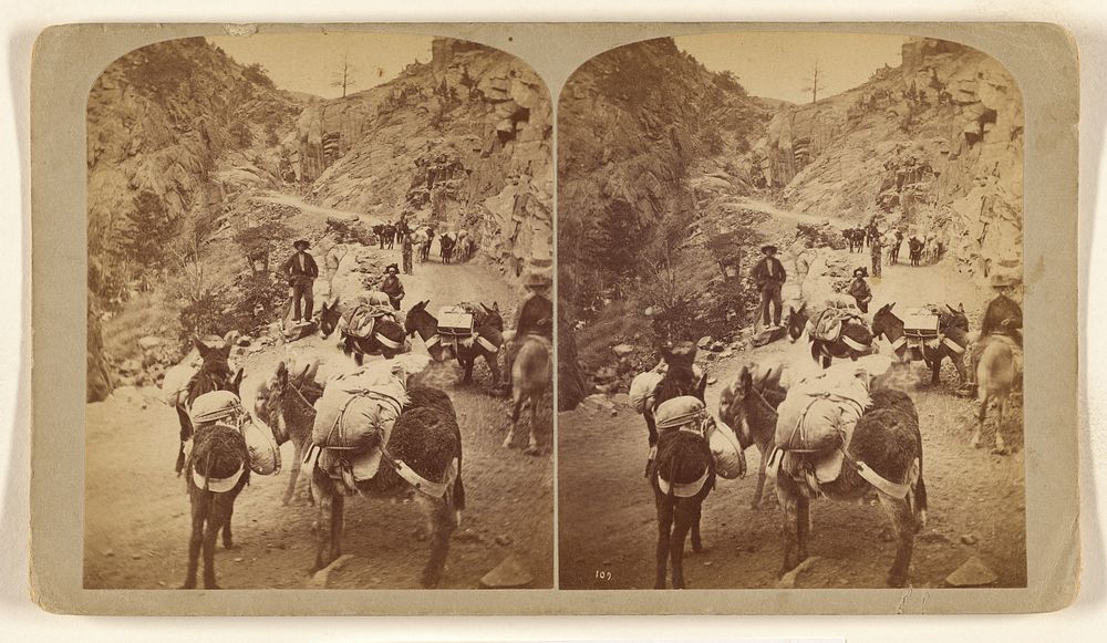 Burro Pack Train In a Mountain Pass, on their Way to the San Juan Silver Mines. by Bryon H Gurnsey