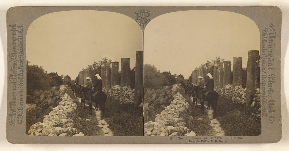 The Colonnade at Samaria. Palestine. by Carleton H Graves