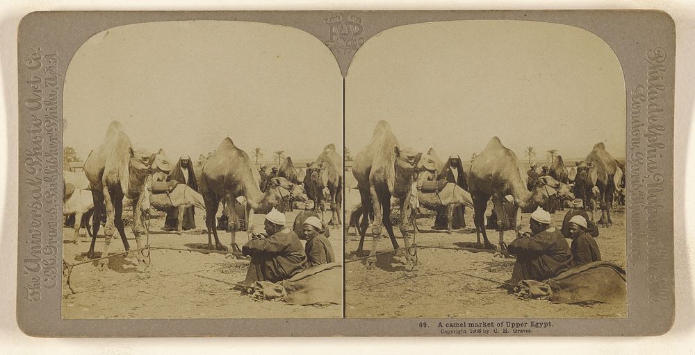 A camel market of Upper Egypt. by Carleton H Graves