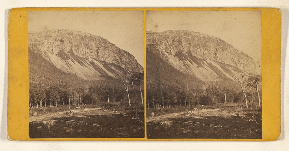 Mt. Cannon. [White Mountain] by John B Heywood