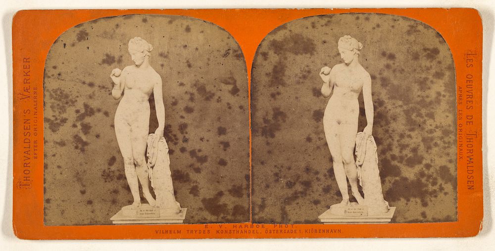 Sculpture of Venus by Thorvaldsen by Edvard Valdemar Harboe
