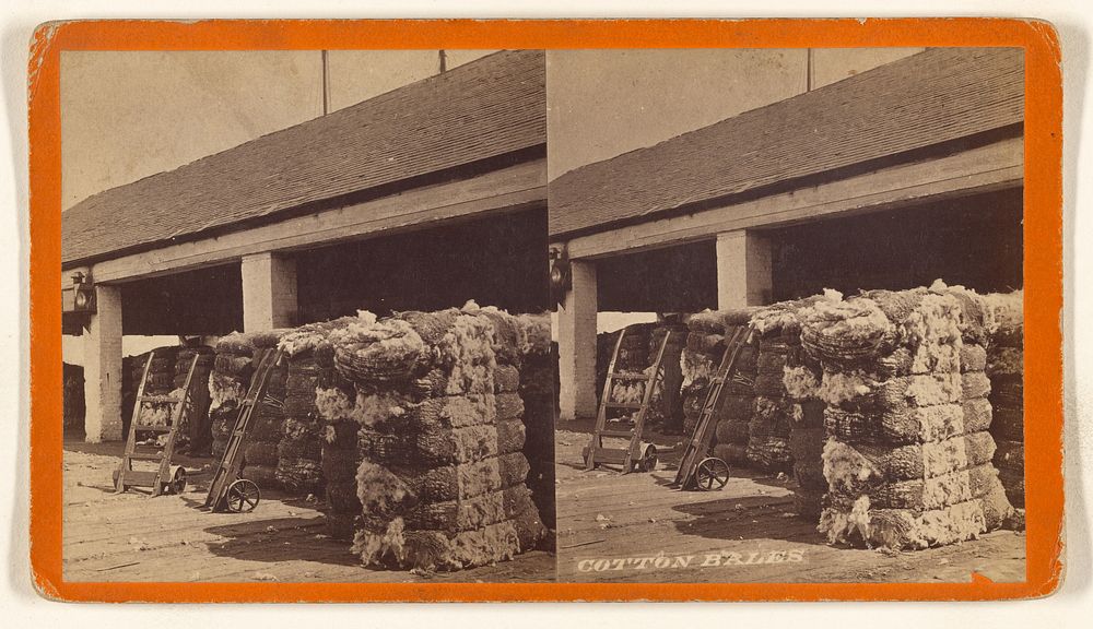 Cotton Bales by O Pierre Havens