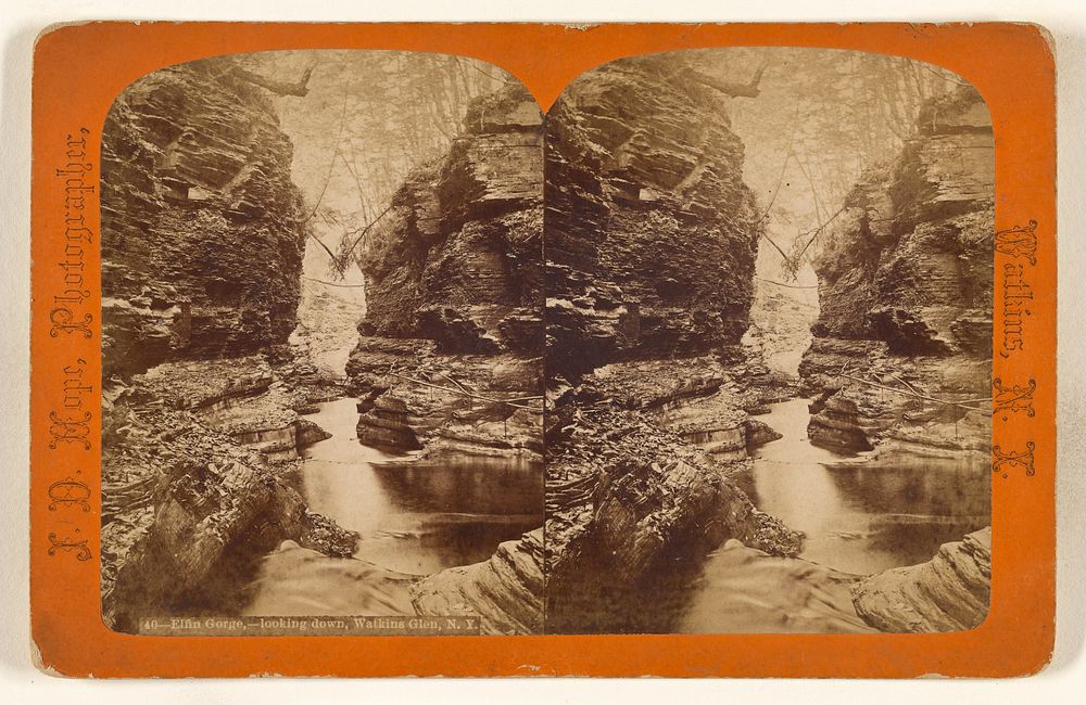 Elfin Gorge, - looking down, Watkins Glen, N.Y. by James Douglas Hope
