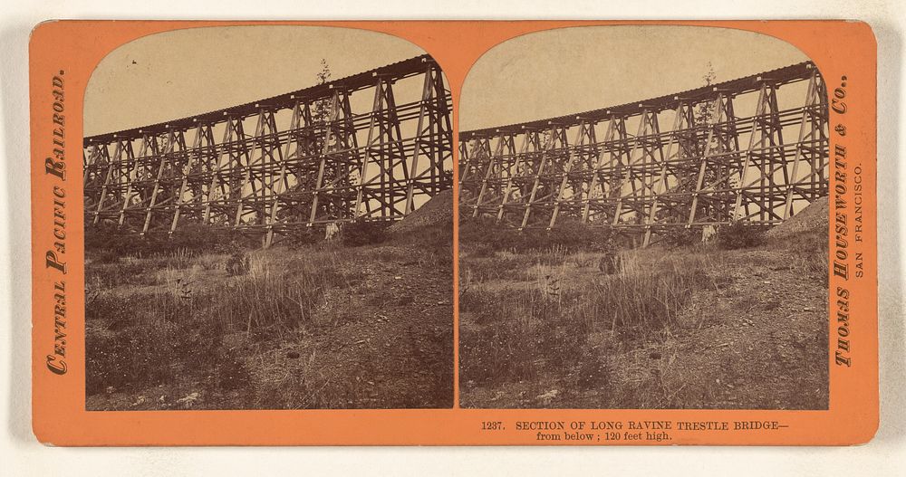 Section of Long Ravine Trestle Bridge - from below; 120 feet high. by Thomas Houseworth and Company