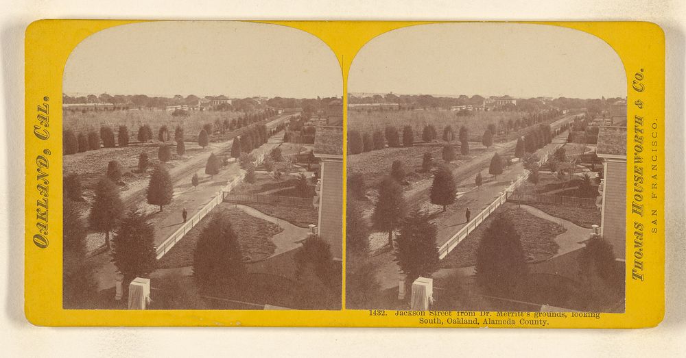 Jackson Street from Dr. Merritt's grounds, looking South, Oakland, Alameda County. by Thomas Houseworth and Company