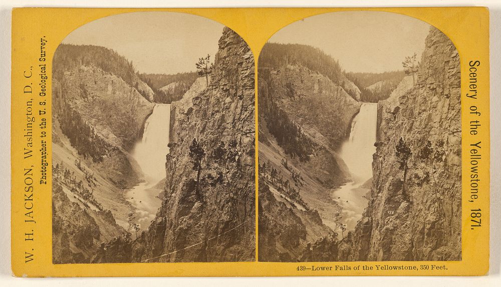 Lower Falls of the Yellowstone, 350 Feet. by William Henry Jackson