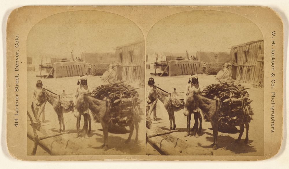 Indians with burros backed with timber by William Henry Jackson and Co