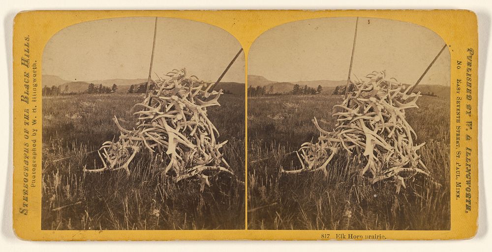 Elk Horn prairie. by William H Illingworth