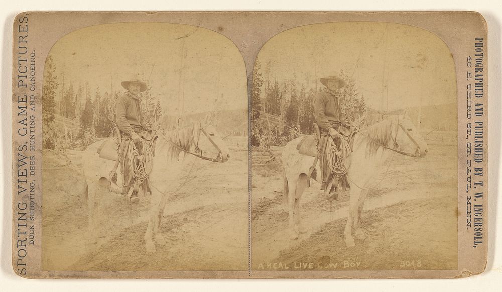 A Real Live Cow Boy. by Truman Ward Ingersoll