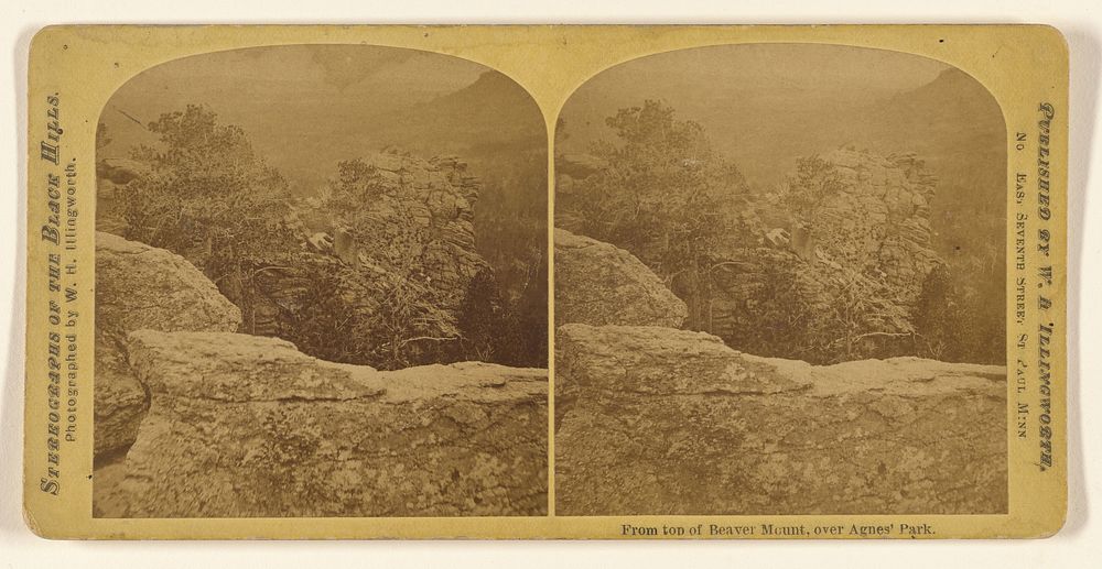 From top of Beaver Mount, over Agnes' Park. by William H Illingworth