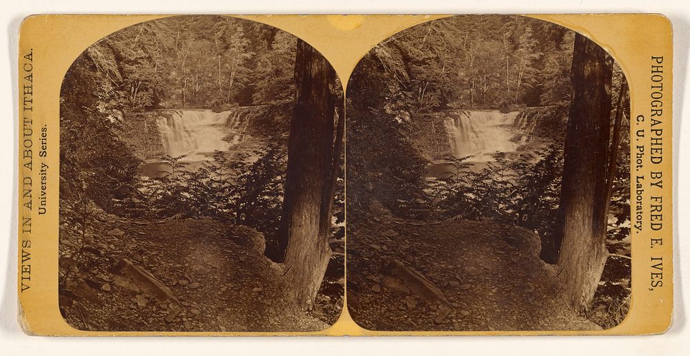 Forest Falls. [Ithaca Gorge, N.Y.] by Frederic E Ives