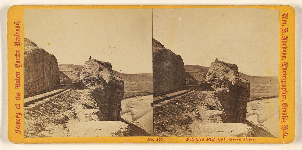 Petrified Fish Cut, Green River. by William Henry Jackson
