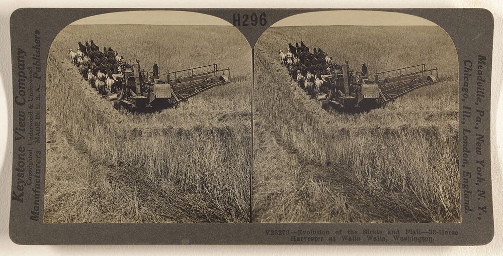 Evolution of the Sickle and Flail - 33-horse Harvester at Walla Walla, Washington. by Underwood and Underwood