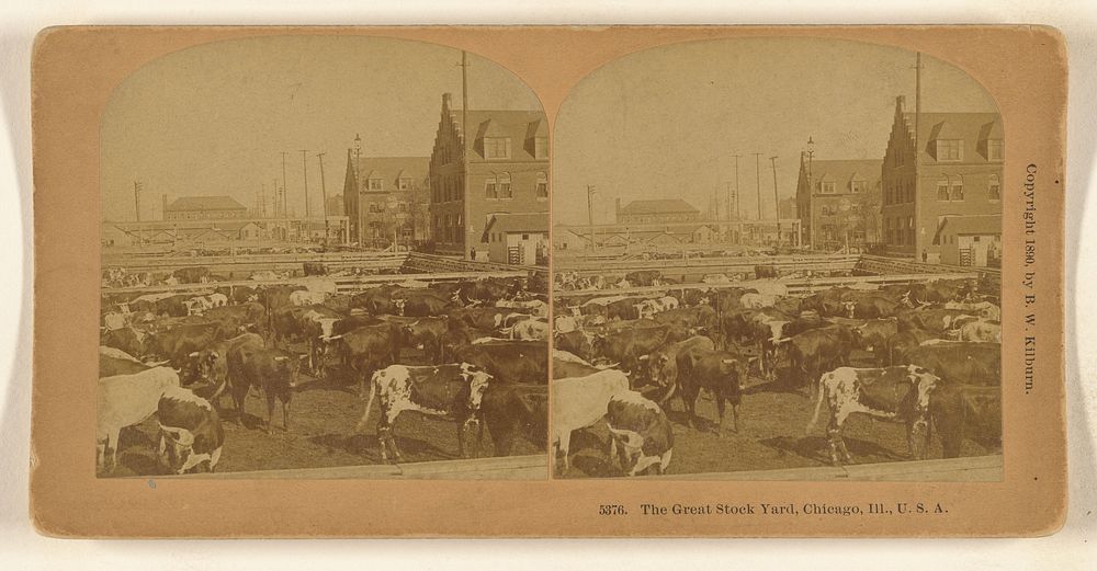 The Great Stock Yard, Chicago, Ill., U.S.A. by Benjamin West Kilburn