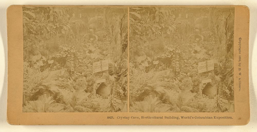 Crystay Cave, Horticultural Building, World's Columbian Exposition. by Benjamin West Kilburn