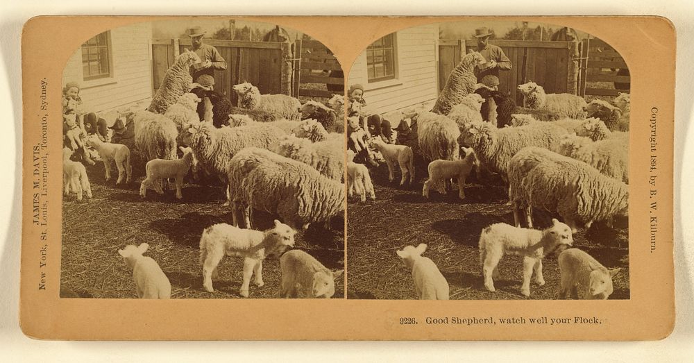 Good Shepherd, watch well your Flock. by Benjamin West Kilburn