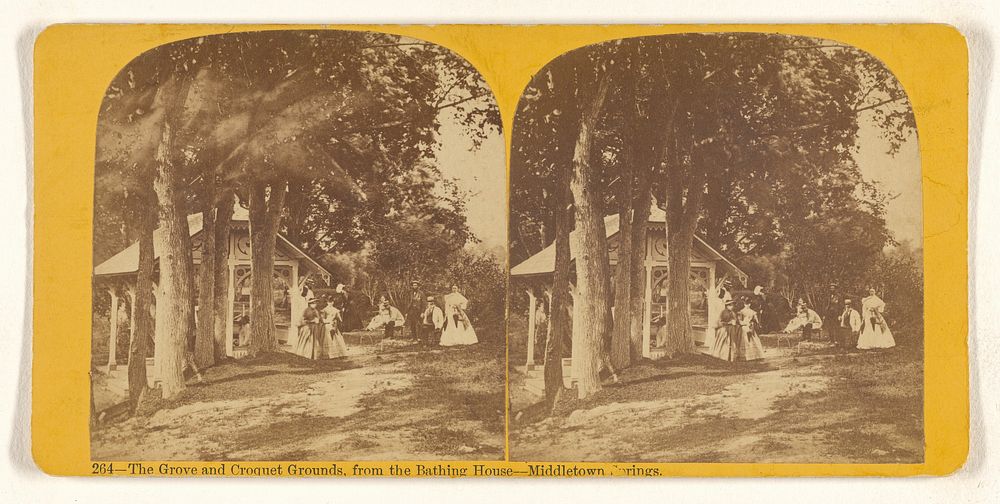 The Grove and Croquet Grounds, from the Bathing House - Middletown Springs [Vermont] by Thomas G Richardson