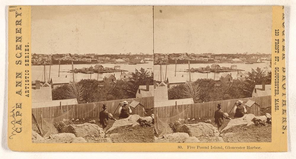 Five Pound Island, Gloucester Harbor. [Cape Ann, Mass.] by Proctor Brothers
