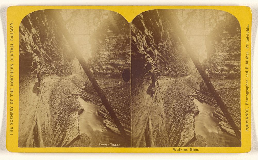 Spiral Gorge. Watkins Glen. by William T Purviance