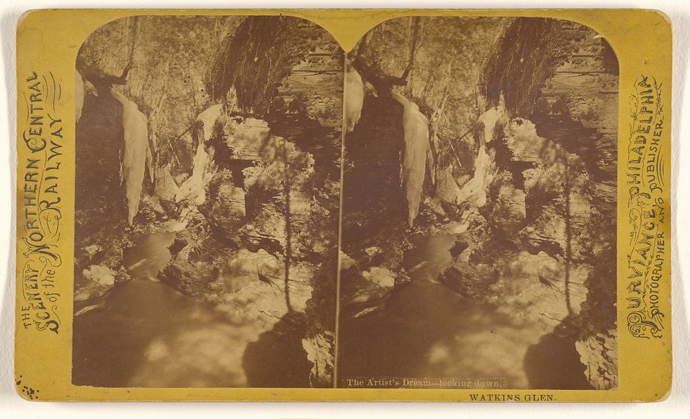 Artist's Dream - looking down. Watkins Glen. by William T Purviance