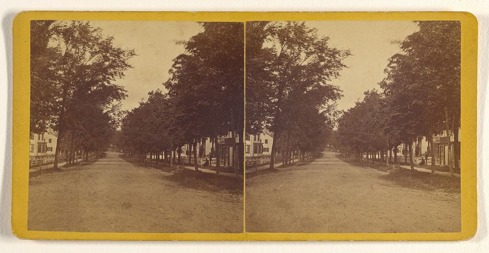 View of Barre, Mass. (?) by George T Putnam