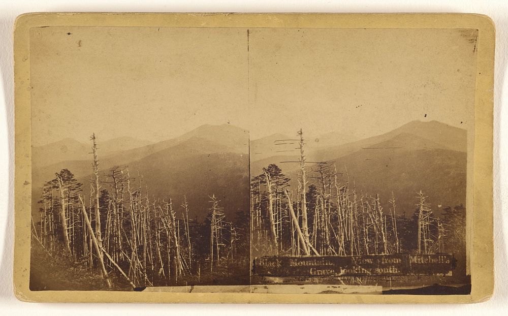 Black Mountain. View from Mitchell's Grave, looking south. [Asheville, North Carolina] by W T Robertson