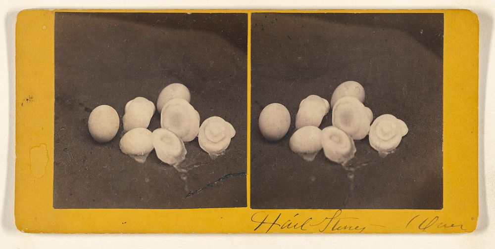 Hail Stones, Which fell in the great storm of June 20, 1870, at Northampton, Mass., where they were found the largest of…