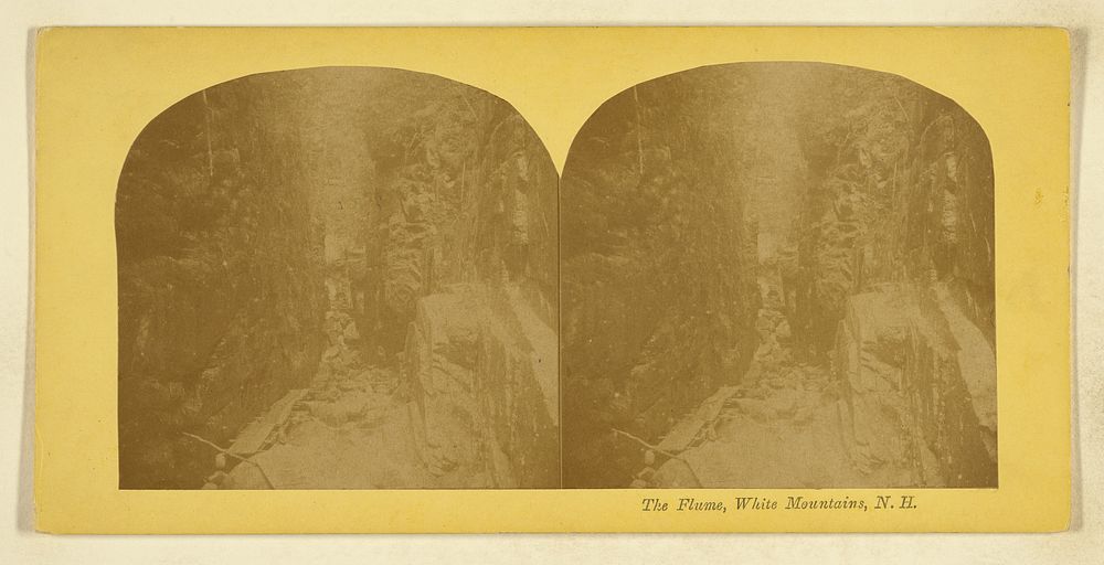 The Flume, White Mountains, N.H. by Langenheim Loud and Company Langenheim Bros and G W Loud