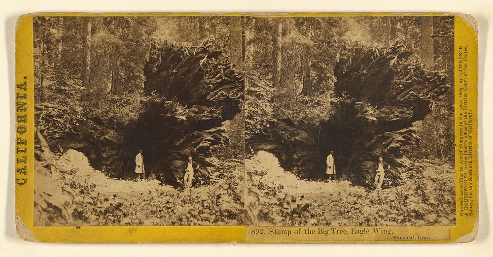Stump of the Big Tree, Eagle Wing, Mammoth Grove. by Lawrence and Houseworth