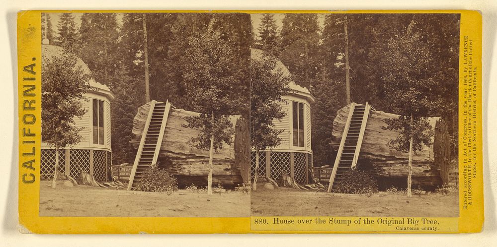 House over the Stump of the Original Big Tree, Calaveras county. by Lawrence and Houseworth