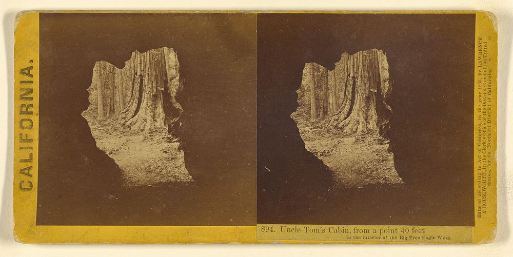 Uncle Tom's Cabin, from a point 40 feet in the interior of the Big Tree Eagle Wing. by Lawrence and Houseworth
