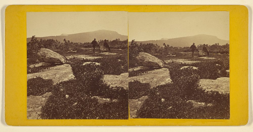 Overlook Mountain House, distant view. by Edward Lewis