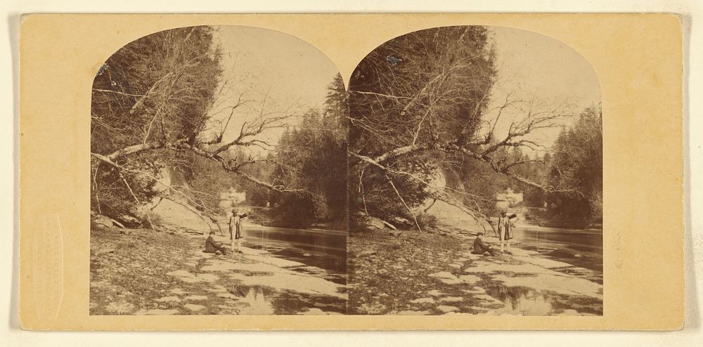 View at Trenton Falls. New York State. by London Stereoscopic and Photographic Company
