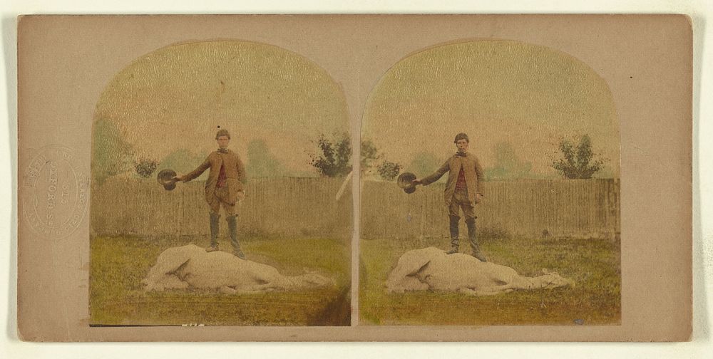 Sterescopic Illustration of Horse Taming. by London Stereoscopic and Photographic Company