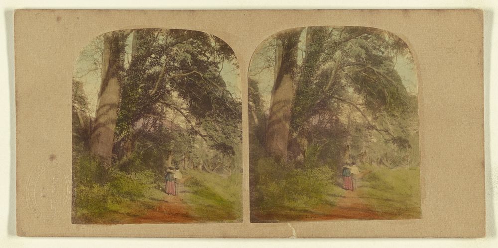 The Secluded Walk. by London Stereoscopic and Photographic Company