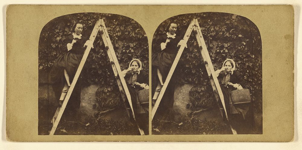 Two women on a ladder by London Stereoscopic and Photographic Company