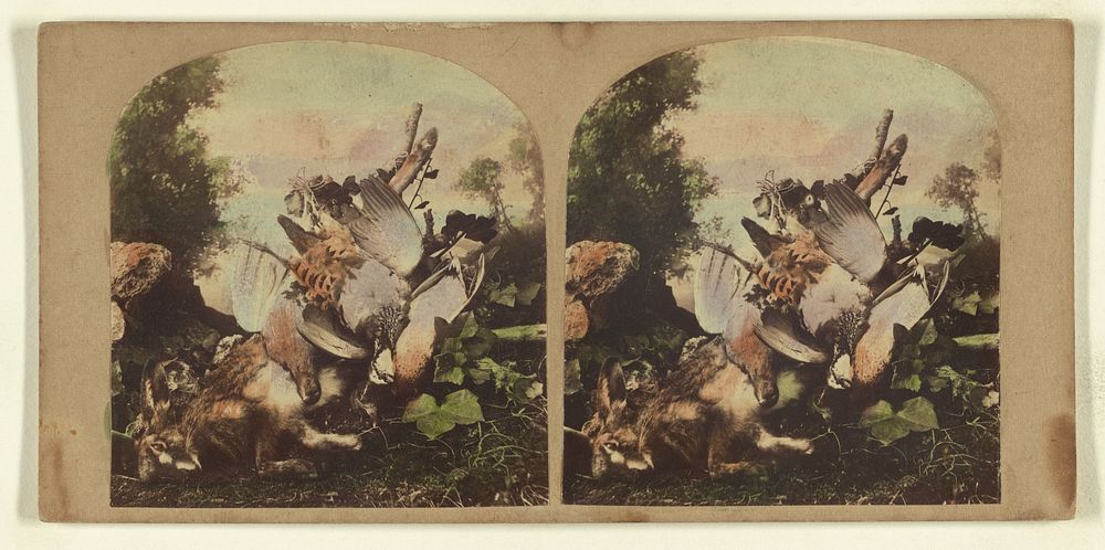 Fowl & game by London Stereoscopic and Photographic Company