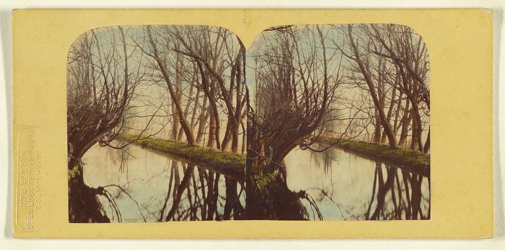 A View on the River Lea, In Essex. by London Stereoscopic and Photographic Company