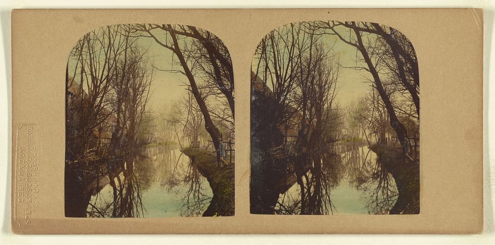 A View on the River Lea, In Essex. by London Stereoscopic and Photographic Company