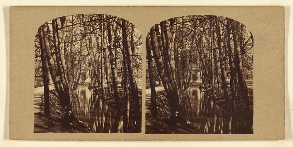St John's College, Cambridge. Brook and Avenue, shewing Trinity Library. by London Stereoscopic and Photographic Company