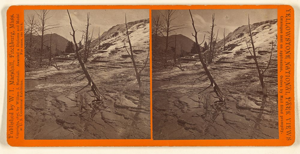 General View of Upper Basins. [Mammoth Hot Springs] by William I Marshall