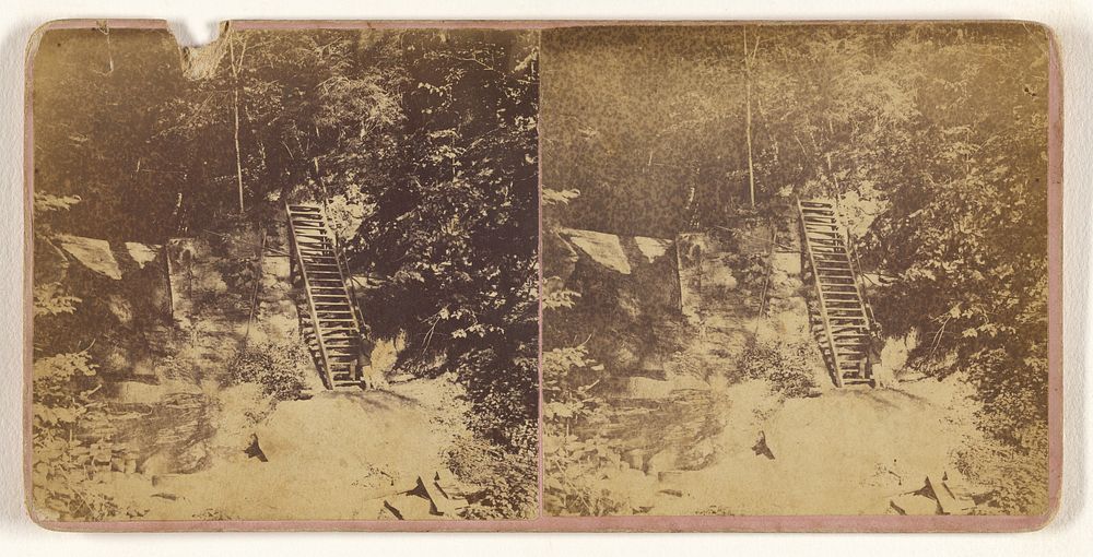 Lower, or First Fall. [Ensenore Glen, N.Y.] by S Hall Morris