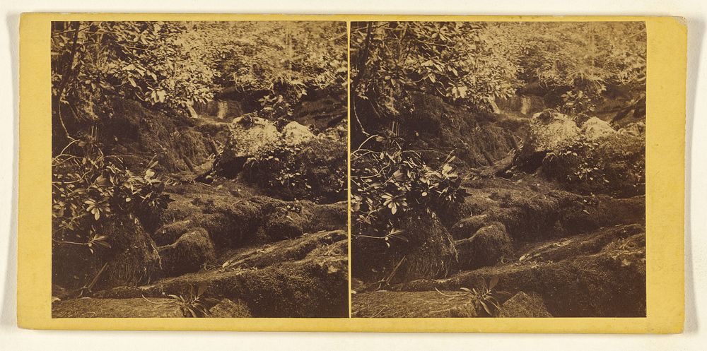 Mossy Dell. by John H Johnson and Frederick George D Utassy