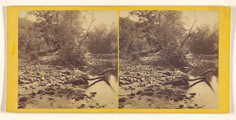 View on Broadhead's Creek. by John Moran and J Storey