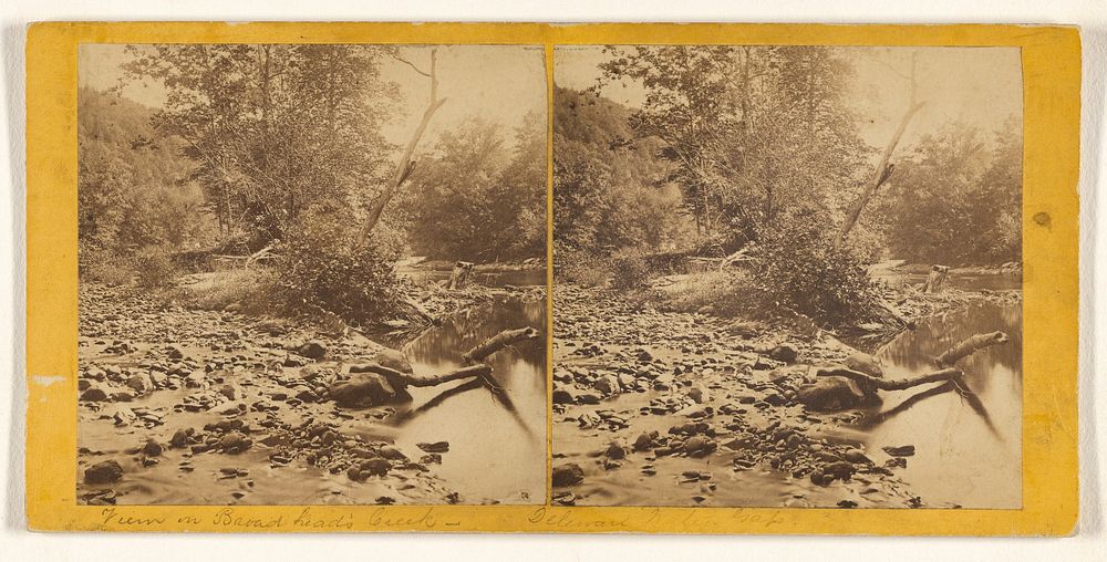 View on Broadhead's Creek. by John Moran and J Storey