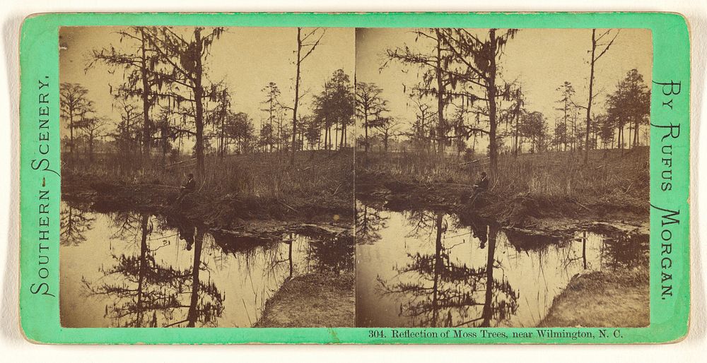 Reflection of Moss Trees, near Wilmington, N.C. by Rufus Morgan