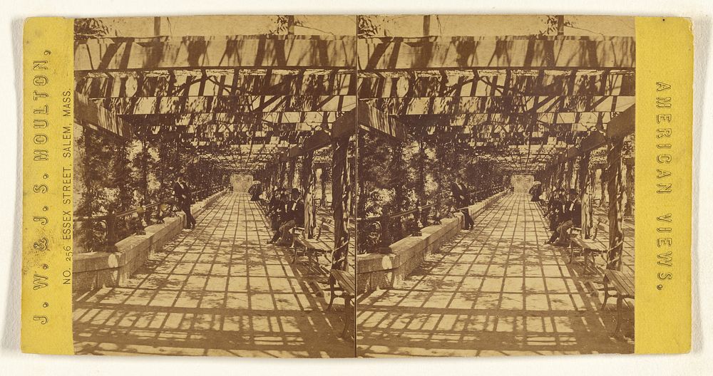 Interior Rustic Shelter, Central Park. [New York] by Joshua W Moulton and John S Moulton